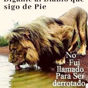 Meet your Posher, Karinita